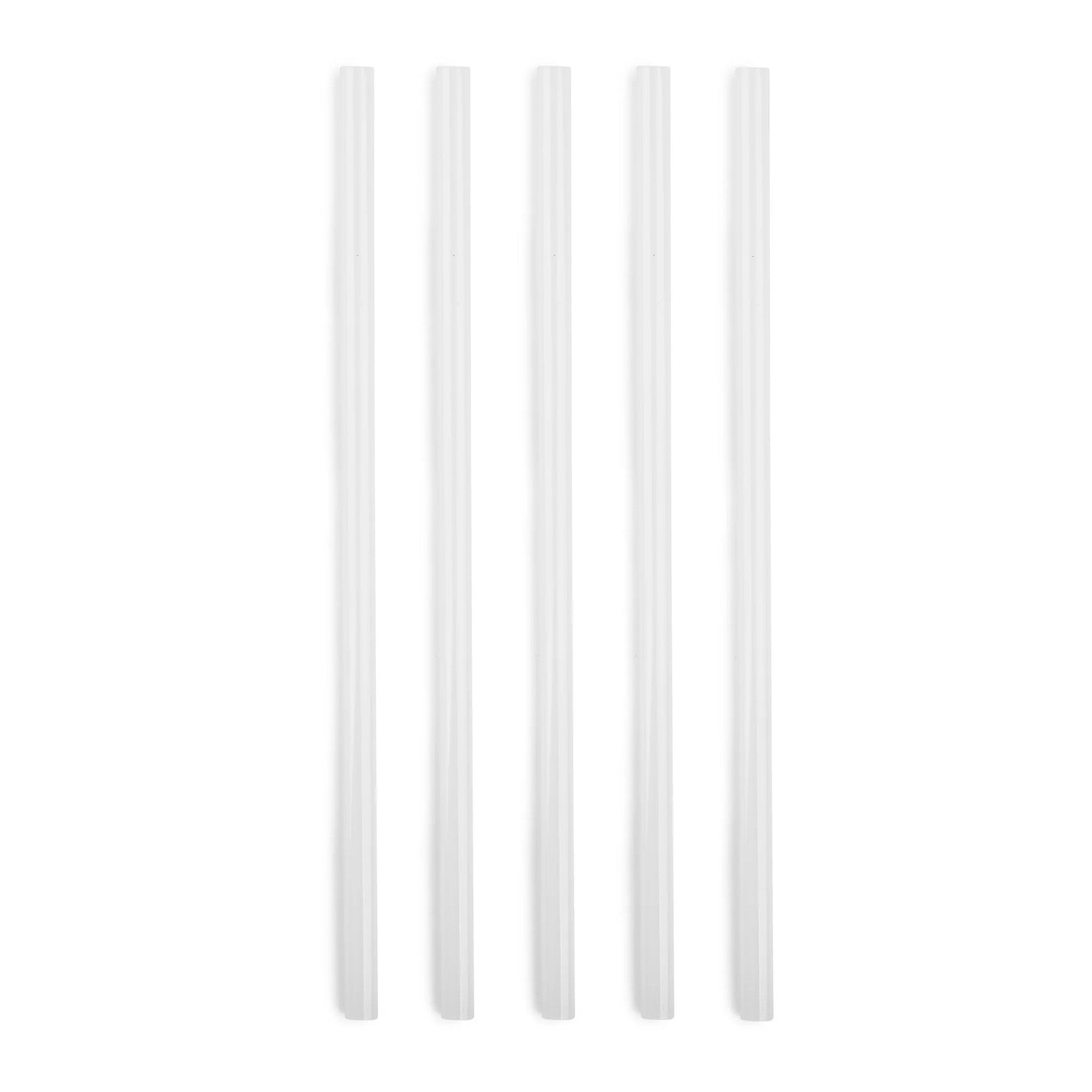 5-piece-replacement-straw-set-for-titan-3l-135-oz-l1 SPY2010_02.jpg
